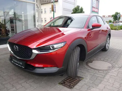 Annonce MAZDA CX-30 Essence 2024 d'occasion 