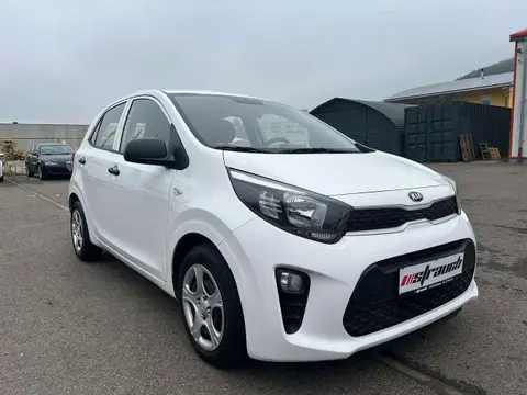 Used KIA PICANTO Petrol 2019 Ad 