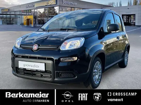 Annonce FIAT PANDA Essence 2024 d'occasion 