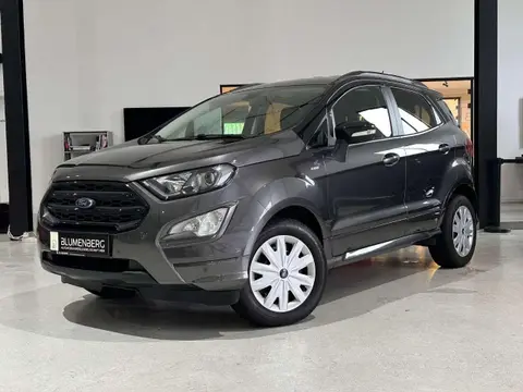 Used FORD ECOSPORT Petrol 2019 Ad 