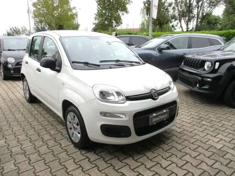 Annonce FIAT PANDA Essence 2019 d'occasion 