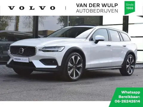 Used VOLVO V60 Petrol 2024 Ad 