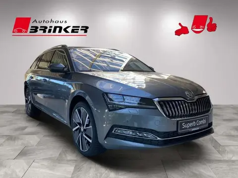 Annonce SKODA SUPERB Diesel 2024 d'occasion 