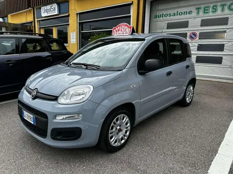 Used FIAT PANDA Hybrid 2022 Ad 