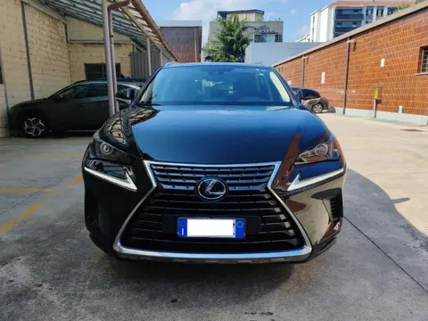 Annonce LEXUS NX Hybride 2019 d'occasion 