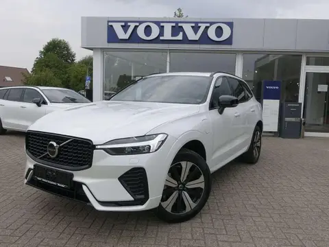 Used VOLVO XC60 Hybrid 2023 Ad 