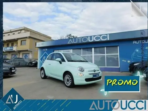 Used FIAT 500 Petrol 2019 Ad 