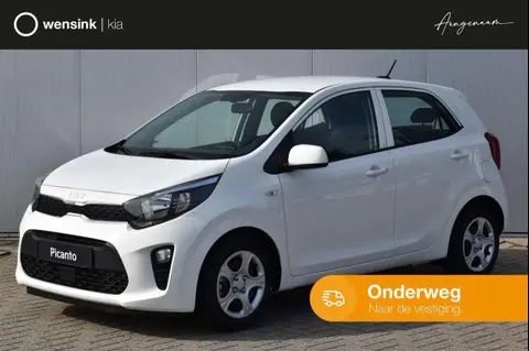 Used KIA PICANTO Petrol 2024 Ad 