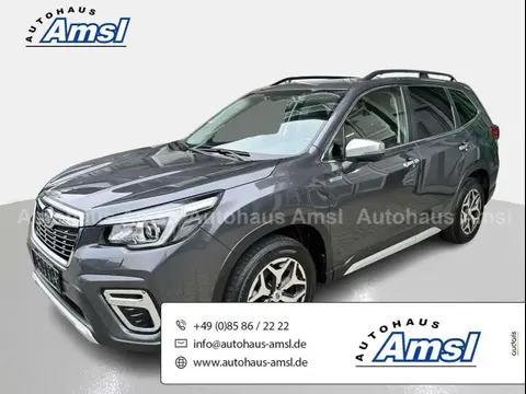 Used SUBARU FORESTER Petrol 2020 Ad 