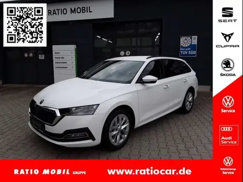 Used SKODA OCTAVIA Petrol 2023 Ad 