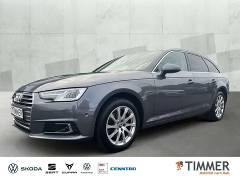 Annonce AUDI A4 Diesel 2017 d'occasion 