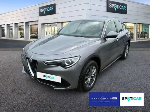 Used ALFA ROMEO STELVIO Diesel 2021 Ad 