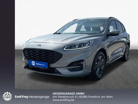 Annonce FORD KUGA Diesel 2023 d'occasion 