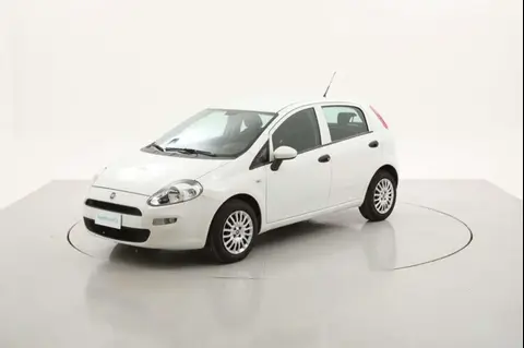 Used FIAT PUNTO Petrol 2017 Ad 