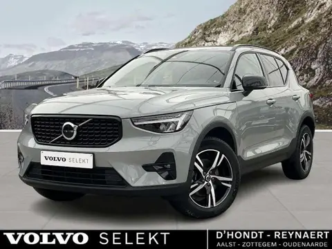 Used VOLVO XC40 Hybrid 2023 Ad 