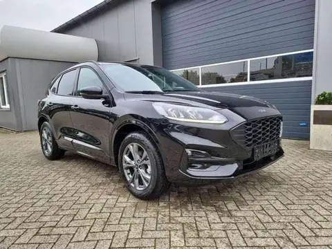 Used FORD KUGA Hybrid 2024 Ad 