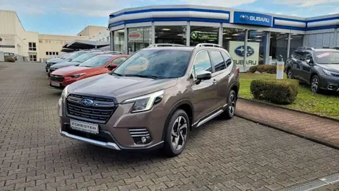 Annonce SUBARU FORESTER Hybride 2024 d'occasion 