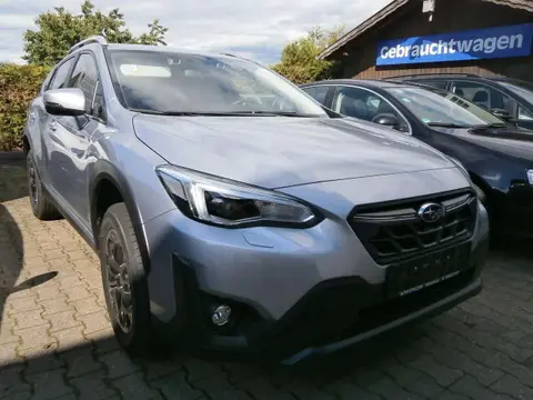 Annonce SUBARU XV Essence 2024 d'occasion 