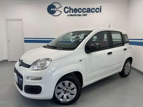 Annonce FIAT PANDA Essence 2020 d'occasion 