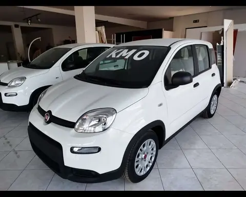 Annonce FIAT PANDA Hybride 2024 d'occasion 