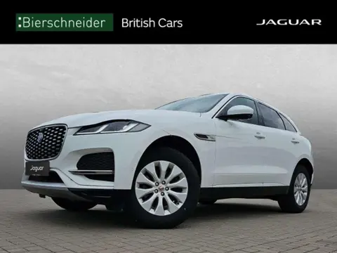 Annonce JAGUAR F-PACE Diesel 2021 d'occasion 