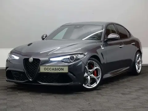 Used ALFA ROMEO GIULIA Petrol 2021 Ad 