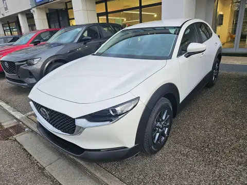 Used MAZDA CX-30 Hybrid 2024 Ad 