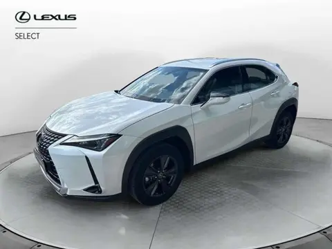 Used LEXUS UX Hybrid 2023 Ad 