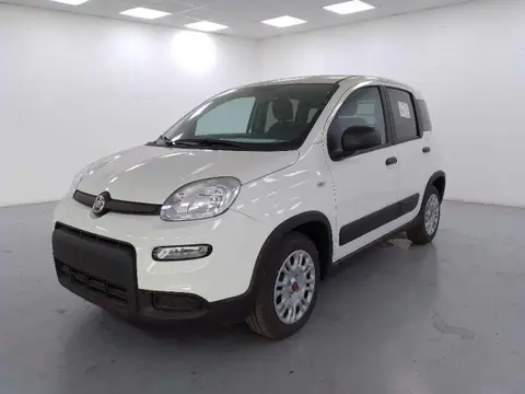 Used FIAT PANDA Hybrid 2023 Ad 