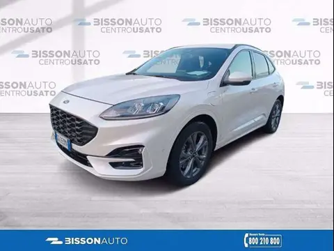 Annonce FORD KUGA Hybride 2021 d'occasion 