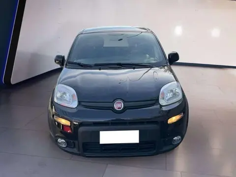 Used FIAT PANDA Hybrid 2021 Ad 