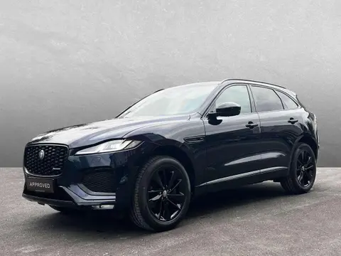 Used JAGUAR F-PACE Diesel 2024 Ad 