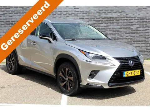 Annonce LEXUS NX Hybride 2020 d'occasion 