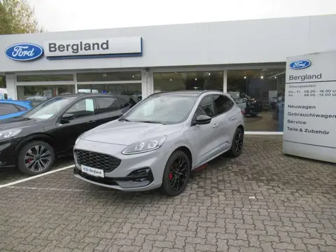 Used FORD KUGA Hybrid 2023 Ad 