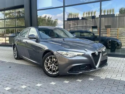 Used ALFA ROMEO GIULIA Diesel 2016 Ad 