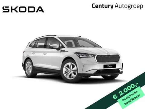 Used SKODA ENYAQ Electric 2024 Ad 