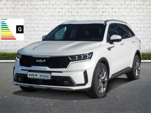 Annonce KIA SORENTO Diesel 2023 d'occasion 