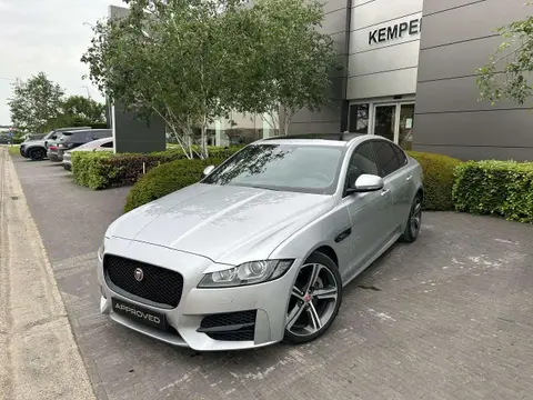 Annonce JAGUAR XF Essence 2020 d'occasion 