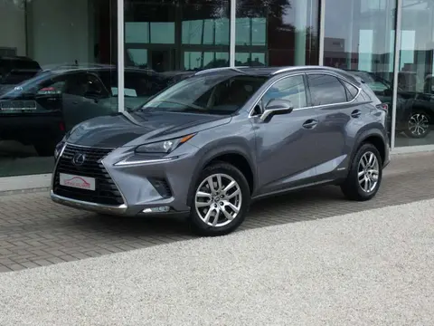 Used LEXUS NX Hybrid 2021 Ad 