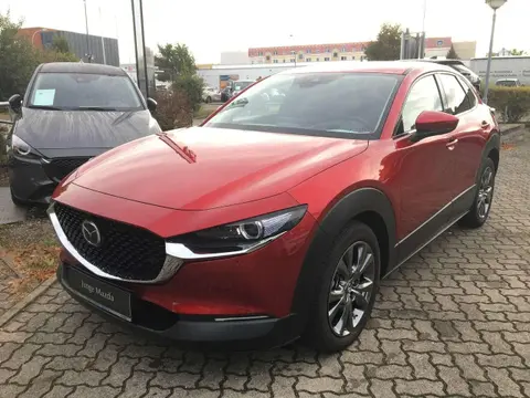 Used MAZDA CX-30 Petrol 2023 Ad 