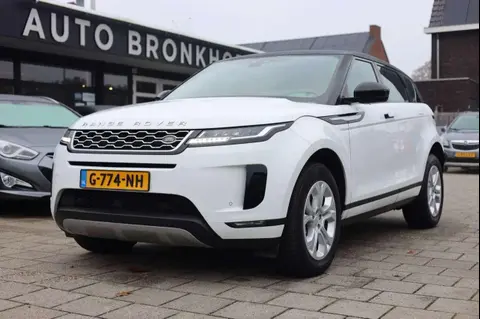 Used LAND ROVER RANGE ROVER EVOQUE Hybrid 2019 Ad 