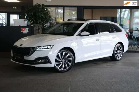 Annonce SKODA OCTAVIA Hybride 2021 d'occasion 