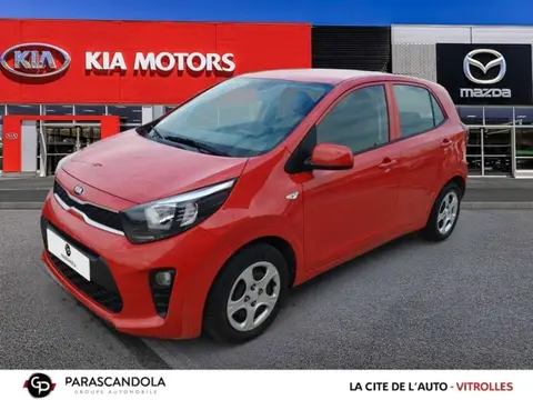 Annonce KIA PICANTO Essence 2019 d'occasion 