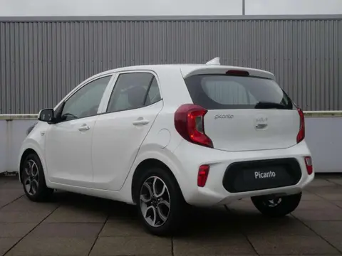 Annonce KIA PICANTO Essence 2024 d'occasion 