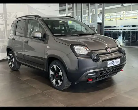 Annonce FIAT PANDA Hybride 2023 d'occasion 