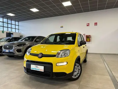 Used FIAT PANDA Hybrid 2024 Ad 