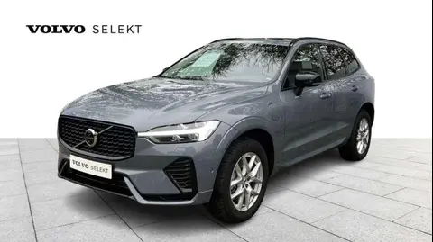 Annonce VOLVO XC60 Hybride 2024 d'occasion 