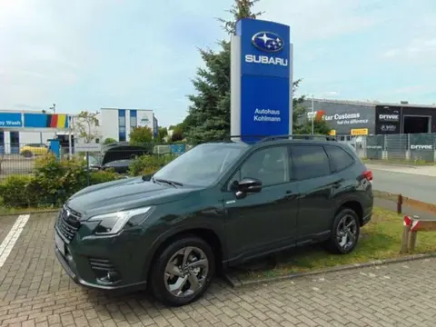 Annonce SUBARU FORESTER Essence 2024 d'occasion 