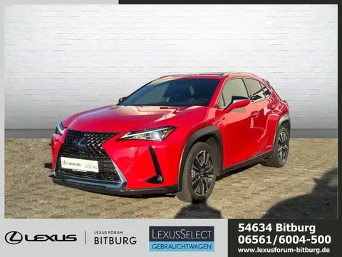 Used LEXUS UX Hybrid 2022 Ad 