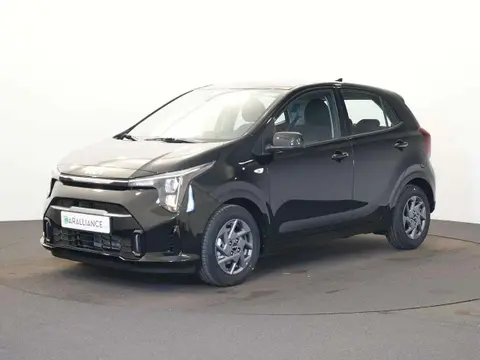 Annonce KIA PICANTO Essence 2024 d'occasion 